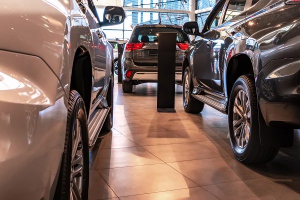 Stock of cars in showroom of automobile dealer